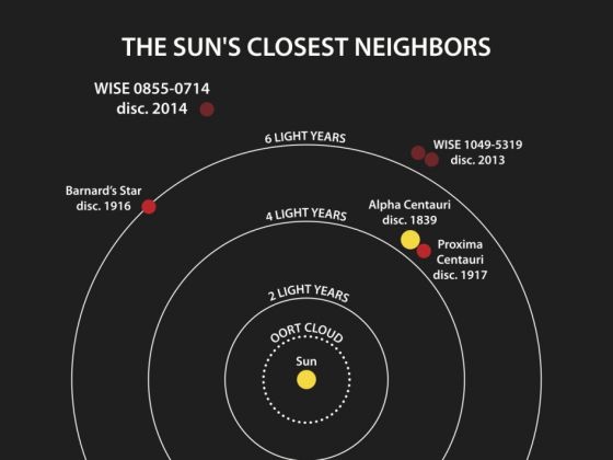 褐矮星WISE J085510.83-071442.5位置