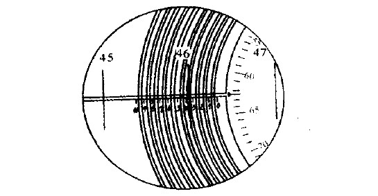 圖3 測微目鏡分度