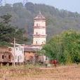 彭寨村(福建省武平縣十方鎮下轄村) 彭寨村(福建省武平縣十方鎮下轄村)