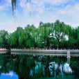 珍珠泉(山東省濟南市珍珠泉) 珍珠泉(山東省濟南市珍珠泉)
