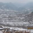 土庫倉村 土庫倉村