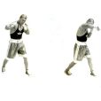王八拳 王八拳