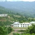 高井槽村(雲南省綠春縣半坡鄉高井槽村) 高井槽村(雲南省綠春縣半坡鄉高井槽村)