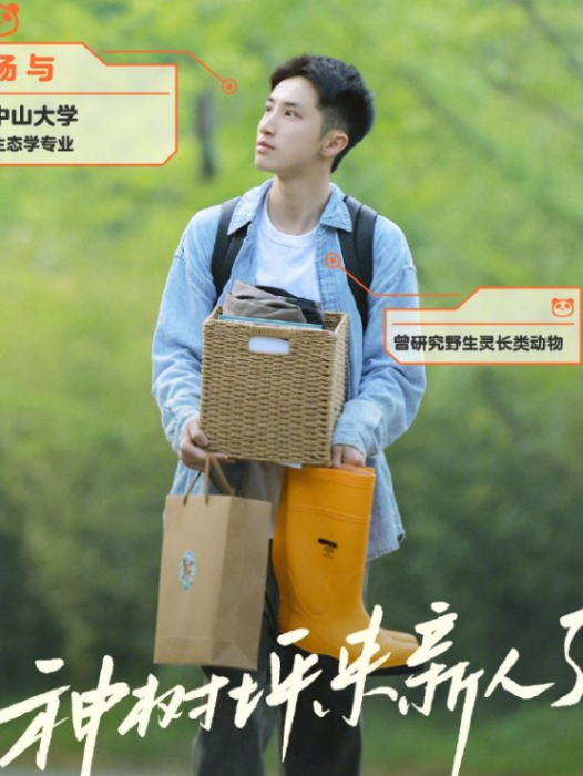 楊與 楊與