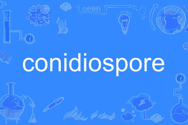 conidiospore conidiospore