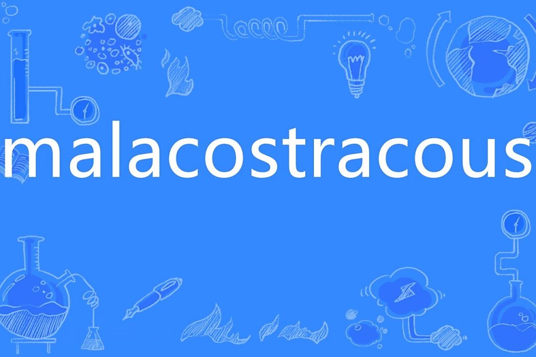 malacostracan malacostracan