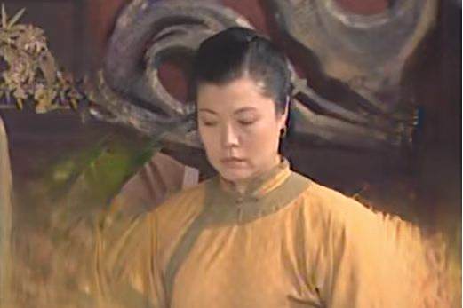 程英(古裝劇《京城大狀師》中的角色) 程英(古裝劇《京城大狀師》中的角色)