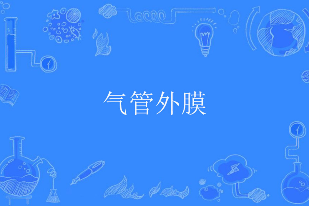 氣管外膜 氣管外膜