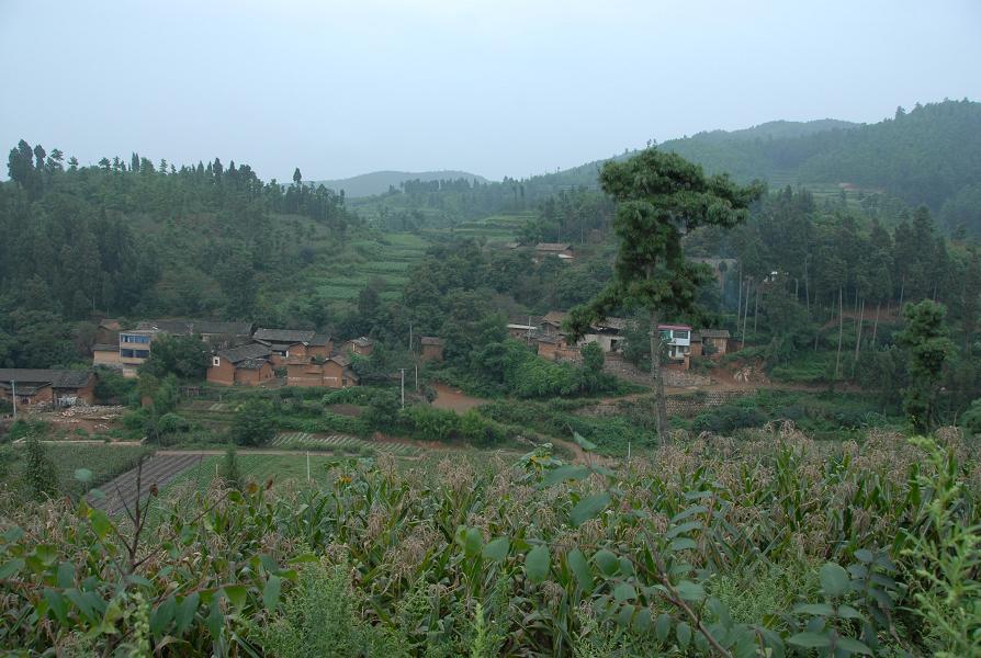 上大擺村 上大擺村