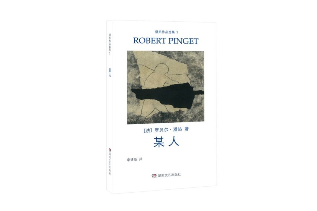 某人(2024年湖南文藝出版社出版的圖書) 某人(2024年湖南文藝出版社出版的圖書)