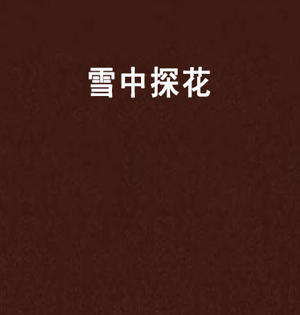 雪中探花 雪中探花