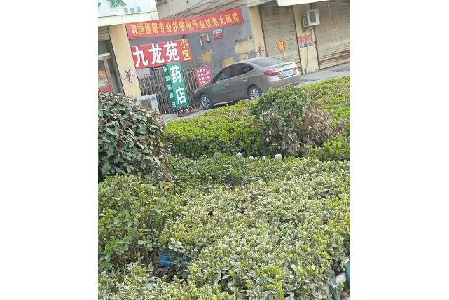 九龍苑小區 九龍苑小區