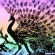 沙畫(一種用沙子作畫的藝術形式)