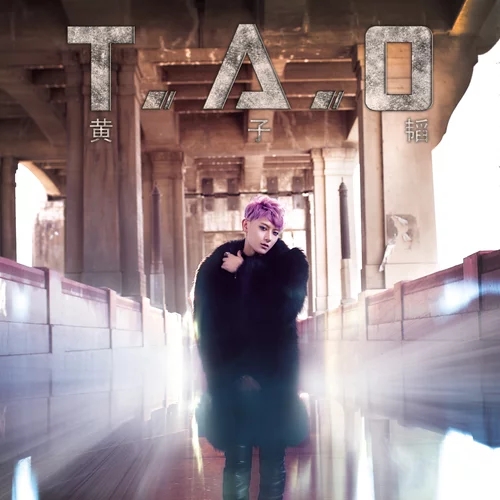 《T.A.O》專輯封面