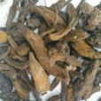 鹿仙草(鹿仙草) 鹿仙草(鹿仙草)