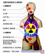 放射性顆粒對人體影響