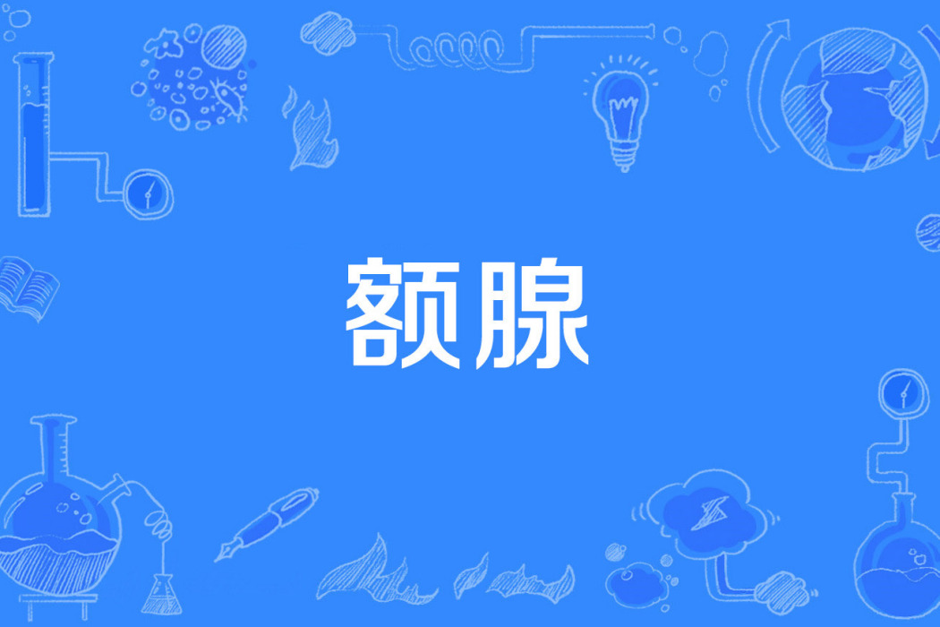 額腺 額腺