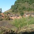 大丫口村(雲南曲靖市會澤縣樂業鎮下轄村) 大丫口村(雲南曲靖市會澤縣樂業鎮下轄村)