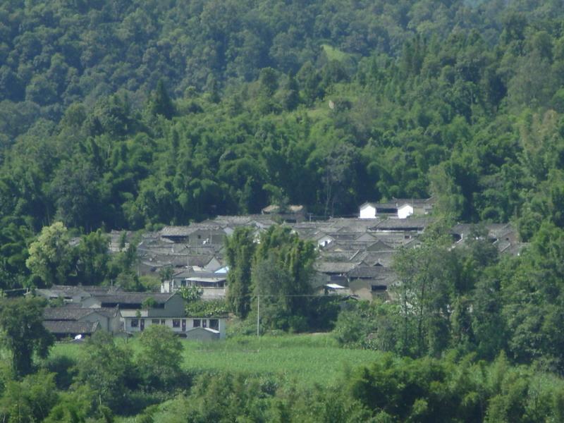 下芒杏村