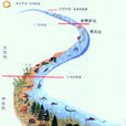進化(生物學名詞)