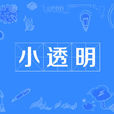 小透明(網路詞語) 小透明(網路詞語)