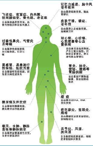 自由基學說