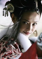碧血劍(2007年竇智孔、黃聖依主演電視劇)