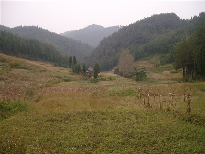 沙羅田 沙羅田