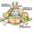 椎管內疾病 椎管內疾病