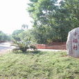 幸福村(四川省成都市青白江區福洪鄉幸福村) 幸福村(四川省成都市青白江區福洪鄉幸福村)