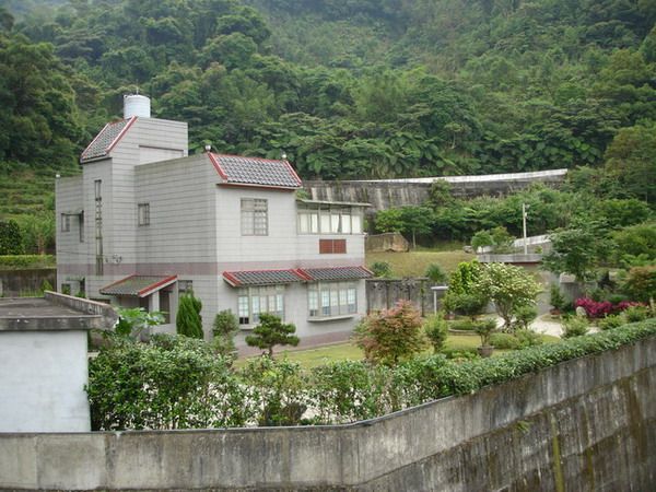 炮子村 炮子村