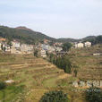 嶼山村 嶼山村
