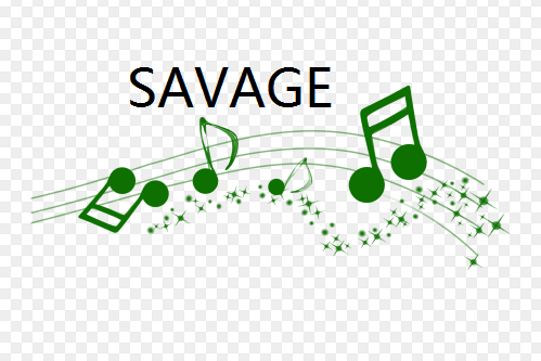 SAVAGE(歌曲) SAVAGE(歌曲)