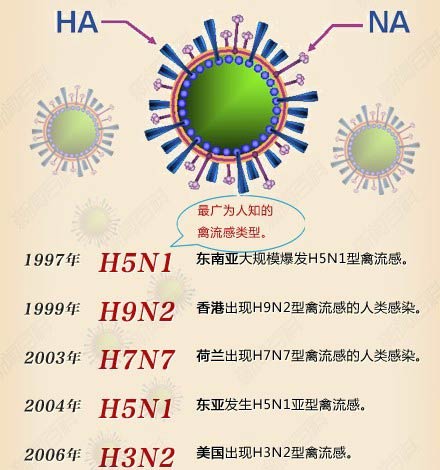 H9N2型禽流感