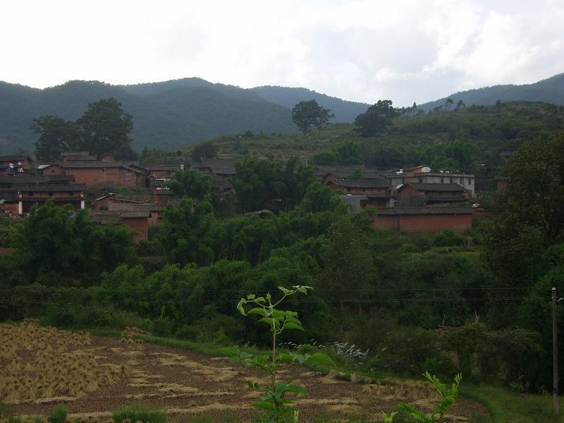 普果村 普果村
