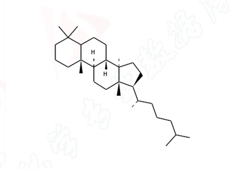 大戟烷 大戟烷