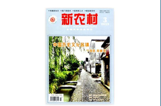 新農村(中國經濟出版社出版圖書)