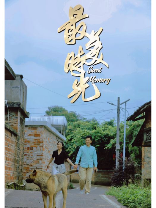 最美時光(鄉村振興電視劇) 最美時光(鄉村振興電視劇)