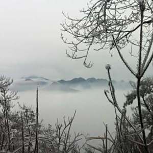 阮山村 阮山村