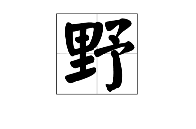 野(漢字)