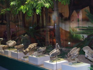 榆社縣化石博物館(榆社化石博物館)