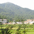 中心村(湖南省婁底市雙峰縣青樹坪鎮下轄行政村) 中心村(湖南省婁底市雙峰縣青樹坪鎮下轄行政村)