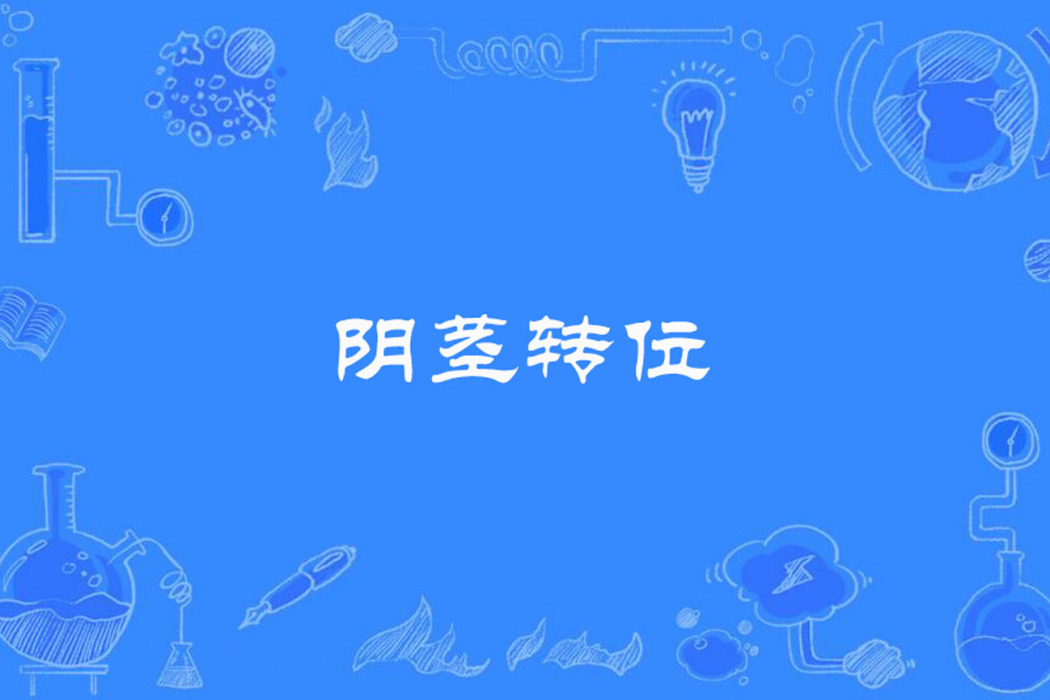 陰莖轉位 陰莖轉位