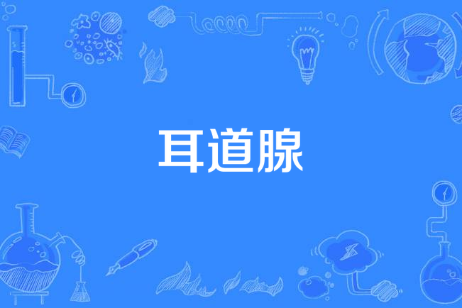 耳道腺 耳道腺