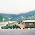 露圖村 露圖村
