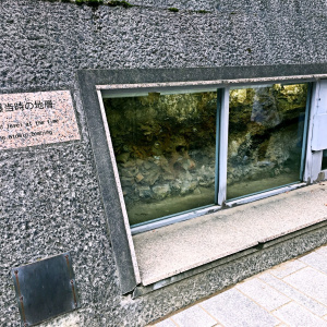 和平公園 和平公園