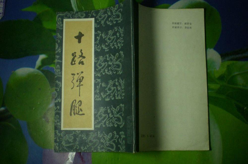 十路彈腿 十路彈腿