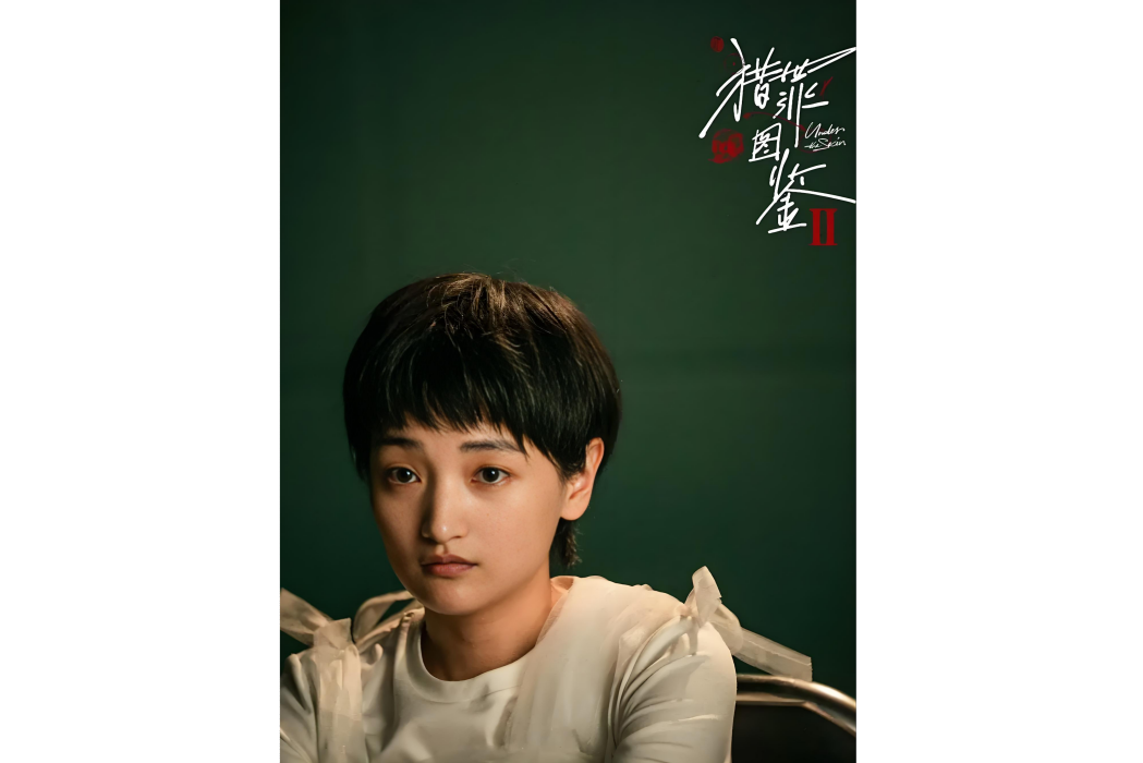 袁招娣(小蛋殼(電視劇《獵罪圖鑑2》中的角色)) 袁招娣(小蛋殼(電視劇《獵罪圖鑑2》中的角色))