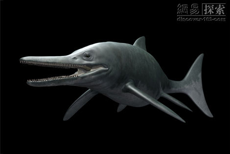 泰曼魚龍化石