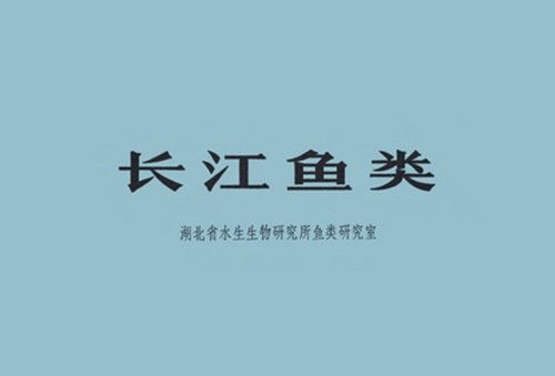 長江魚類 長江魚類